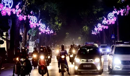 Thi công lắp đặt hoa trang trí cột điện đường phố